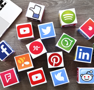 Sharing on LinkedIn, Instagram, and Personal Blog
